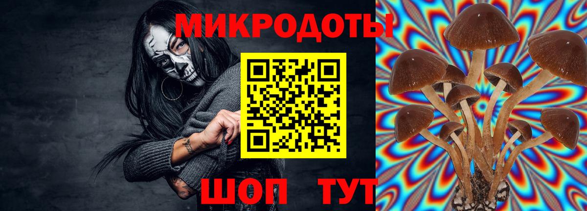 Луга  Галлюциногенные грибы MAGIC MUSHROOMS  Вход с VPN  Галлюциногенные грибы GOLDEN TEACHER 